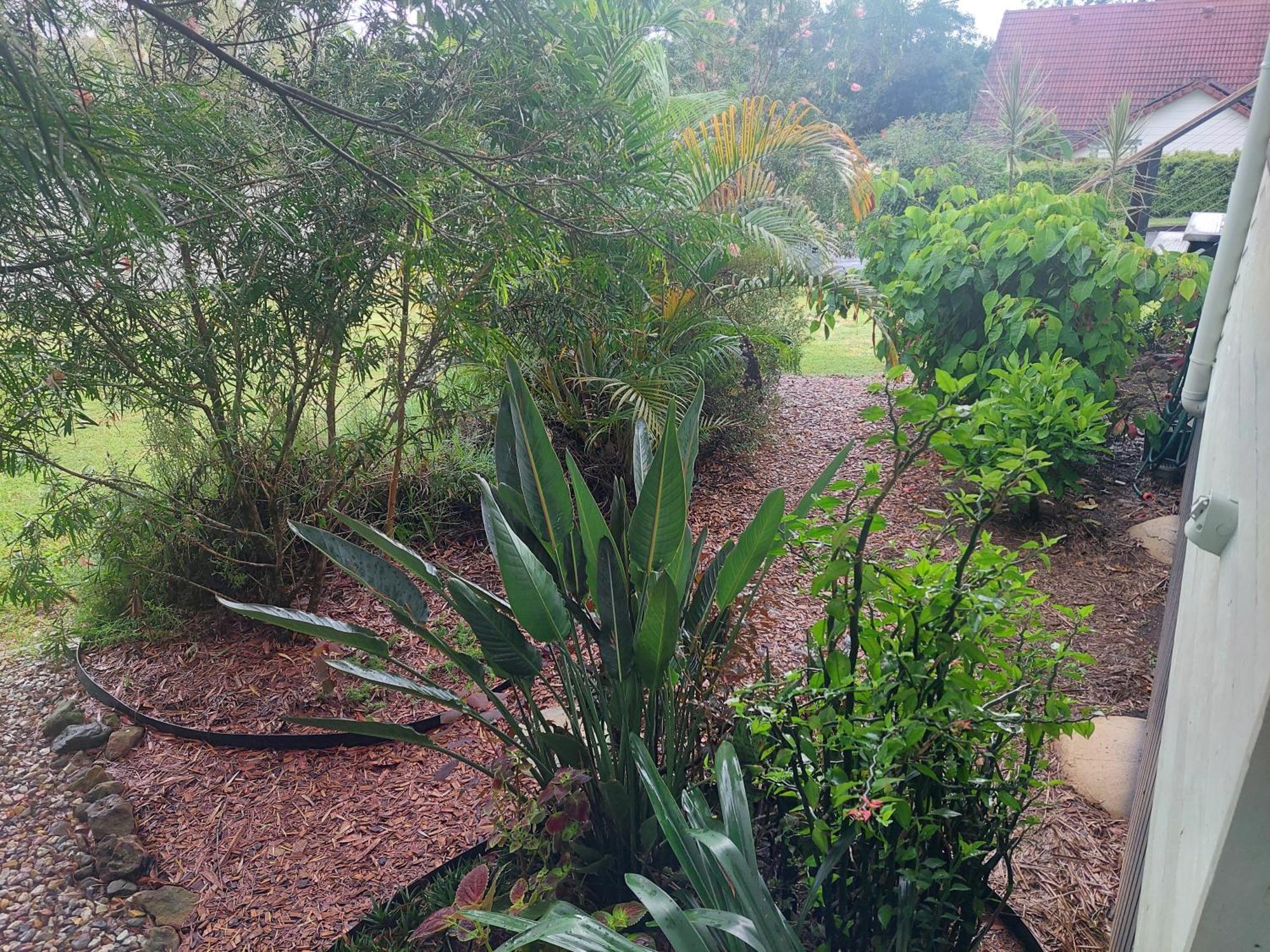 Kyogle Comfy Homestay Room photo